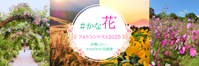 #かな花フォトコンテスト2025 審査結果発表